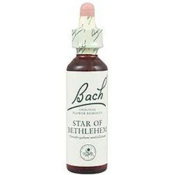 Star Of Bethlehem nº 29 · Bach · 20 ml
