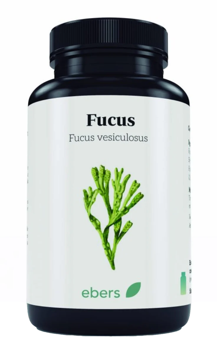 Fucus · Ebers · 100 comprimidos